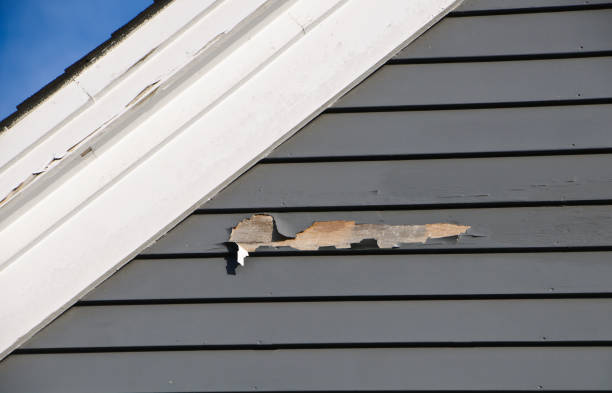 Best Historical Building Siding Restoration  in Eugene, OR